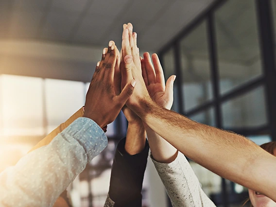 Multiple diverse hands coming together in high-five gesture in bright office space, representing teamwork, collaboration, and workplace unity