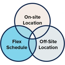Work modality venn diagram of on-site and off-site work location and flex schedule